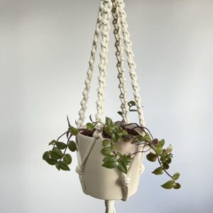 snapinsta.to 481188436 630903309522588 7569073155752440543 n