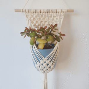 suporte de planta de parede